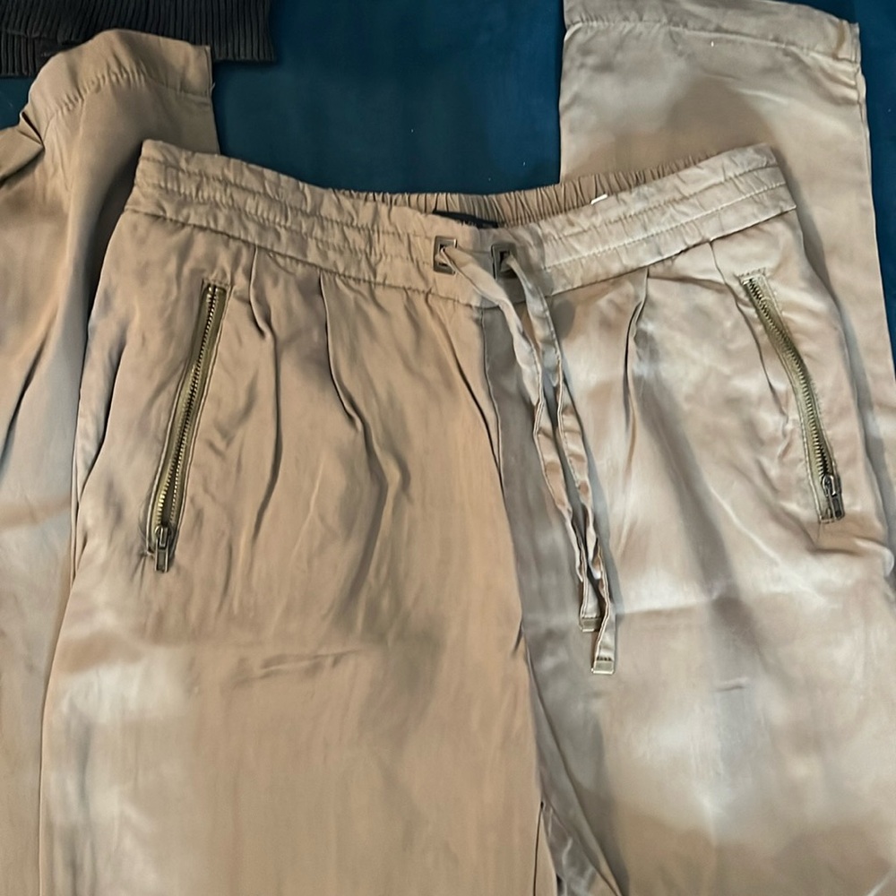 Zara Beige Gold Pant